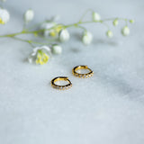 Crystal Charm Hoops in Gold