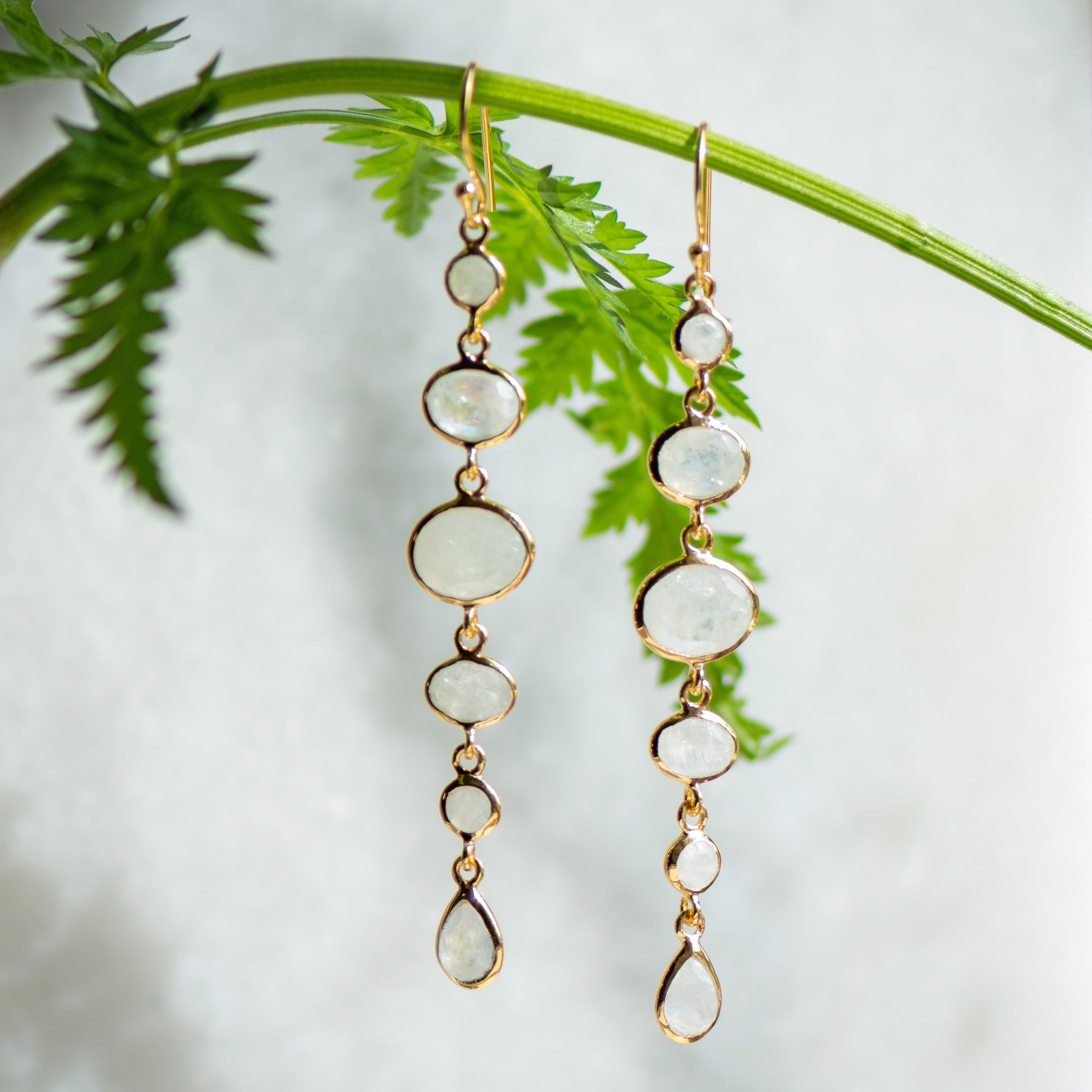 cascade moonstone gold earrings from memara