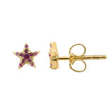 Star studs with Ruby CZ