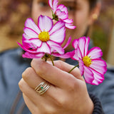 Filigree ring in Silver with Emerald Ring Memara 